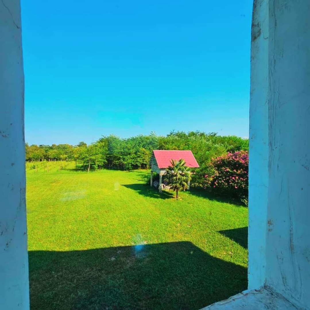 Blue Guest House Samtredia Екстериор снимка