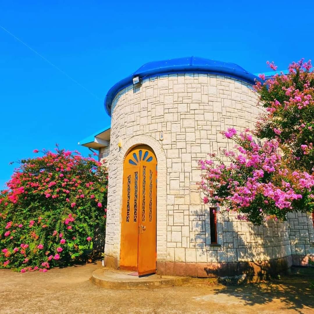 Blue Guest House Samtredia Екстериор снимка