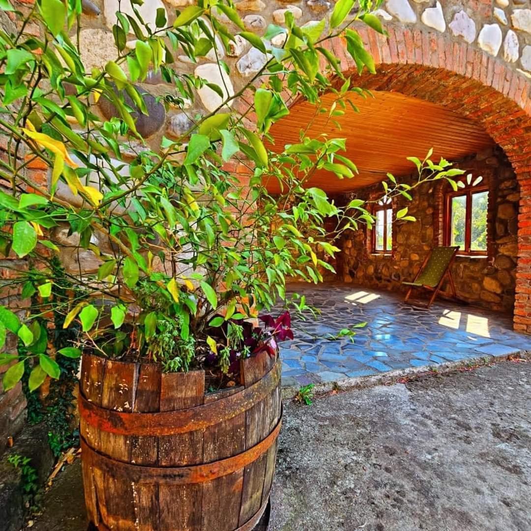 Blue Guest House Samtredia Екстериор снимка